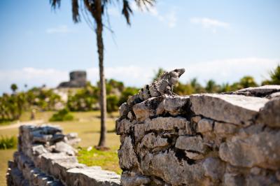 Repos à Tulum, Q.R. - Mexique — photo 3