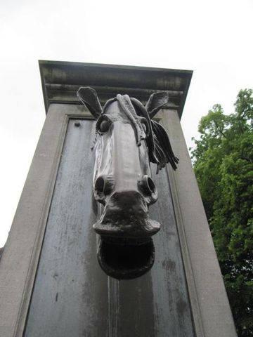 Visite de Bruxelles