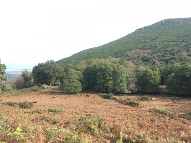 Rutali, Rutali - France — photo 4