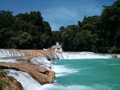 En route pour Palenque