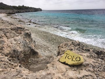 Tolo