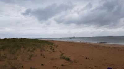 J4 - Dunes et ostréiculture, Saint-Georges-d'Oléron - France — photo 5