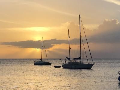 Courses, plongées et barbecue, Le Lamentin - Martinique — photo 4