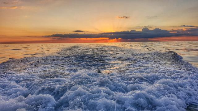 Plongée Bateau-feu, Dunkerque - France — photo 3