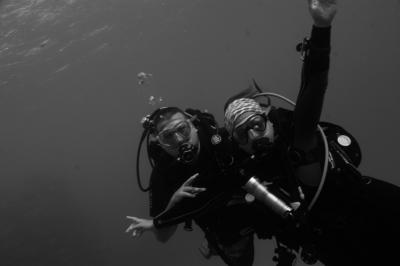 Plongée Wadi Lahami - Torfa, Hamata - Égypte — photo 4