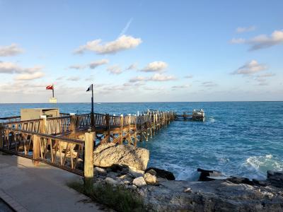 Plongée Shangrila, Bahamas — photo 2