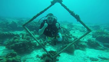 Plongée 18th Palm, Kralendijk - Bonaire — photo 4