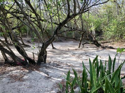 A la recherche du panneau de la Pointe de Dunkerque, Sainte-Anne - Martinique — photo 5