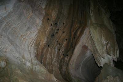 Mercredi : Trekking en fôret, Ko Lanta Yai - Thaïlande — photo 4