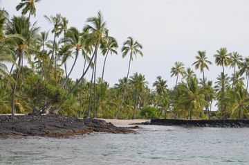 Pu'uhonua o Honaunau national historic park