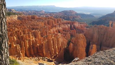 J6 - Brice canyon, Zion, Las Vegas, Las Vegas - États-Unis — photo 5