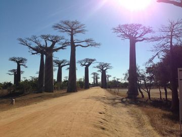 Morondava - Belopaka — photo 2