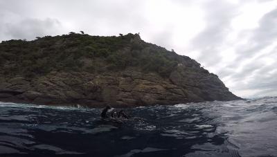 Plongée Seca Gonzatti, Portofino - Italie — photo 3