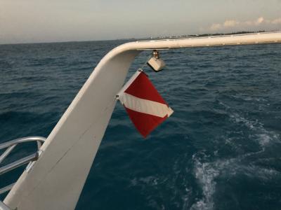 Plongée Bull Run Cut, Bahamas — photo 2