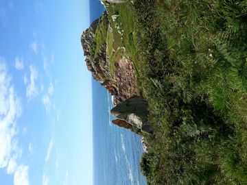 Plougasnou , Plougasnou - France — photo 3