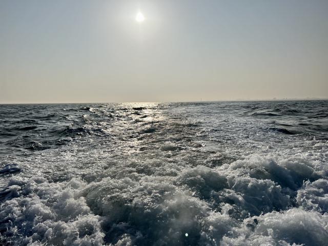 Plongée Bateau-feu, Dunkerque - France — photo 2