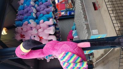 J6 - Coney Island: plage et Luna Park , NY - États-Unis — photo 4