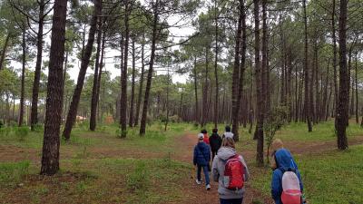 J4 - Dunes et ostréiculture, Saint-Georges-d'Oléron - France — photo 2