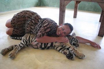 Billet rapide pour ce jour : Tigres + certainement rien pendant 3 jours, Phuket - Thaïlande — photo 2