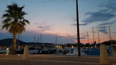 Plongée Le Plateau des Sardinaux, Sainte-Maxime - France — photo 2