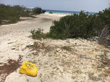 Plongée Angel City, Kralendijk - Bonaire — photo 3