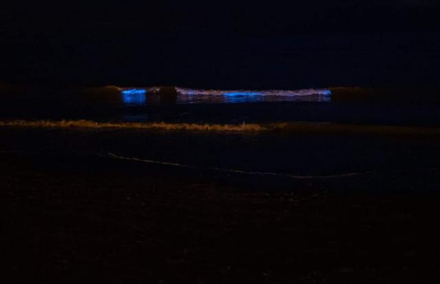 Plongée Forme 4 (Dunkerque), Dunkerque - France — photo 5