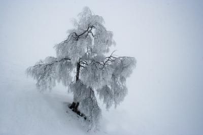 Jour 5 : ski sous la brume