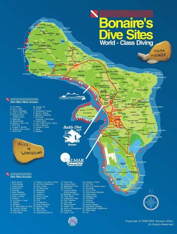 Comment plonger à Bonaire, le paradis des plongeurs ?