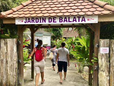Le jardin de Balata, Fort-de-France - Martinique — photo 3