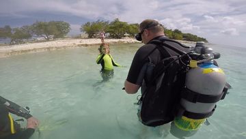 Plongée Windsock, Kralendijk - Bonaire — photo 4