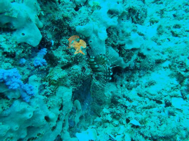 Maya Bay corner