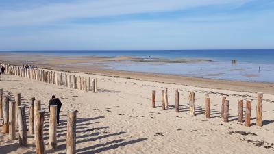 J3 - Pêche à pied et découverte des dunes