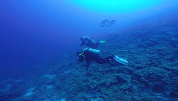 Plongée Weber's Joy, Kralendijk - Bonaire — photo 5
