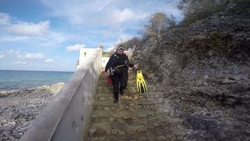 Plongée Karpata, Kralendijk - Bonaire — photo 3
