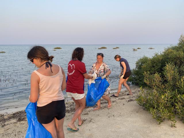Opération de nettoyage de la mangrove avec le staff, Red Sea Governorate - Egypte — photo 3