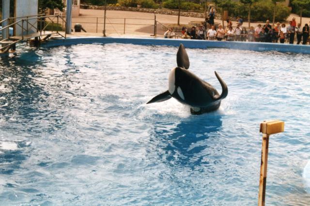 Marineland, Antibes - France — photo 5