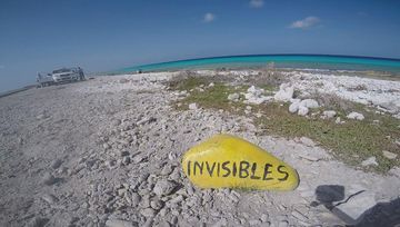 Plongée Invisibles, Kralendijk - Bonaire — photo 4