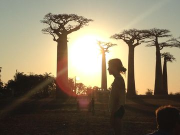 Bekopaka - Morondava 