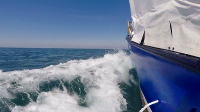 Plongée Les ridens, Boulogne-sur-Mer - France — photo 4