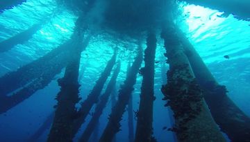 Salt Pier