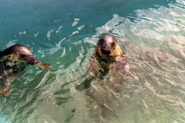 Marineland, Antibes - France — photo 2