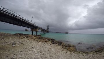 Plongée Salt Pier, Kralendijk - Bonaire — photo 2