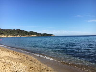 Deux plongées au programme, Cavalaire-sur-Mer - France — photo 5