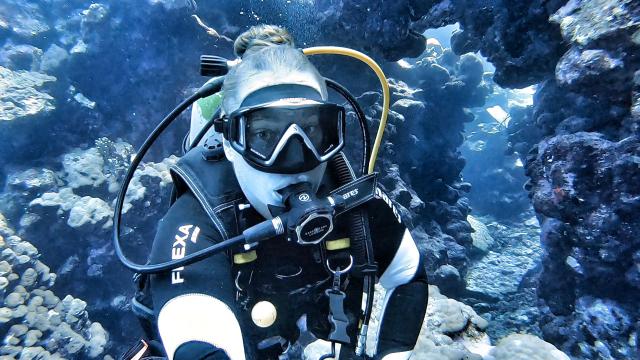 Plongée Sataya reef Dolphin house, Red Sea Governorate - Égypte — photo 4
