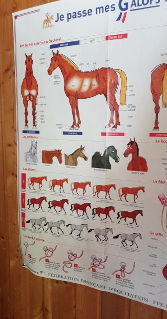 J5 - Cuisine et Poney, Villers-le-Lac - France — photo 2