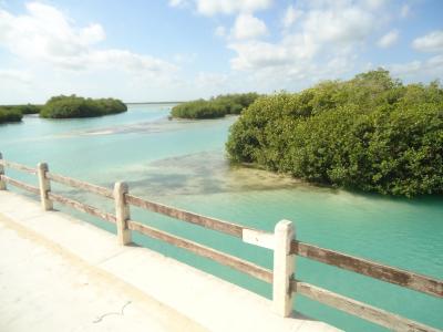 Le site de l'Unesco : Sian Ka'an, Felipe Carrillo Puerto - Mexique — photo 3