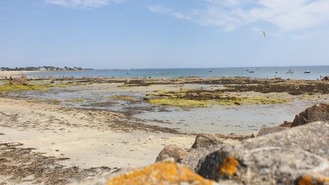 J5 - Marché, Musée et Segway, Carnac - France — photo 5