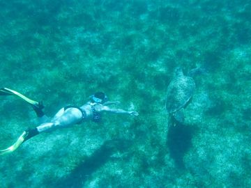 Après 2h de snorkeling avec les tortues, l'apres midi s'annonce tranquille — photo 4