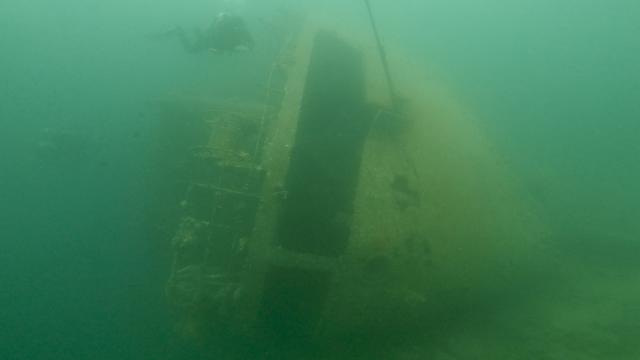 Plongée Cedar Pride Wreck, Aqaba - Jordanie — photo 3