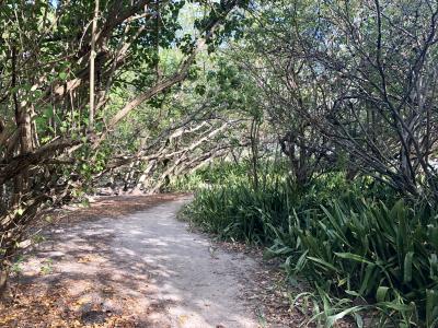 A la recherche du panneau de la Pointe de Dunkerque, Sainte-Anne - Martinique — photo 2